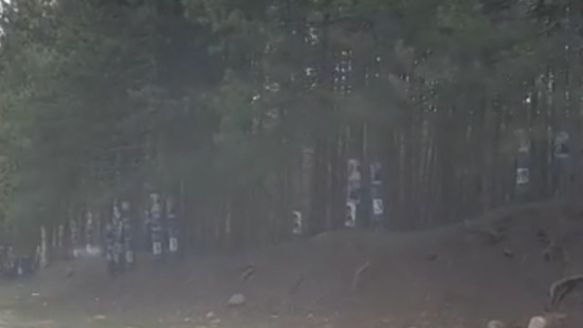 Политически партии агитират и в гората (ВИДЕО)