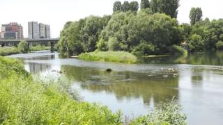 Остров Адата в Пловдив - опасна джунгла и сборище на наркомани 