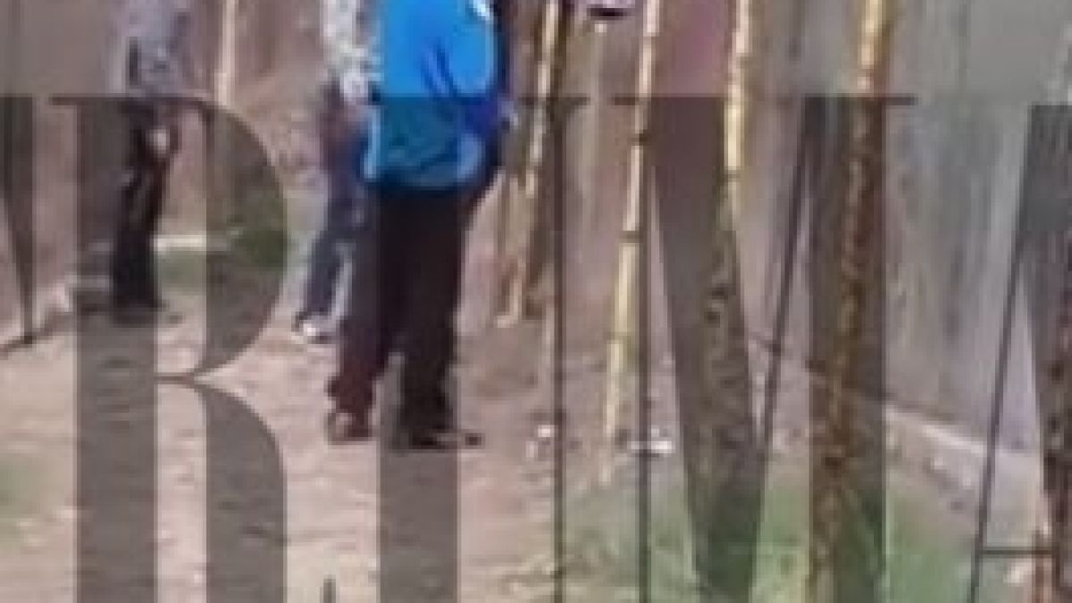 Гавра в благоевградския зоопарк! Роми бият и замерят лъва и маймуната с камъни, охраната е безсилна (ВИДЕО)