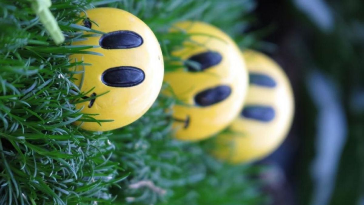 Вижте коя е най-щастливата страна в света