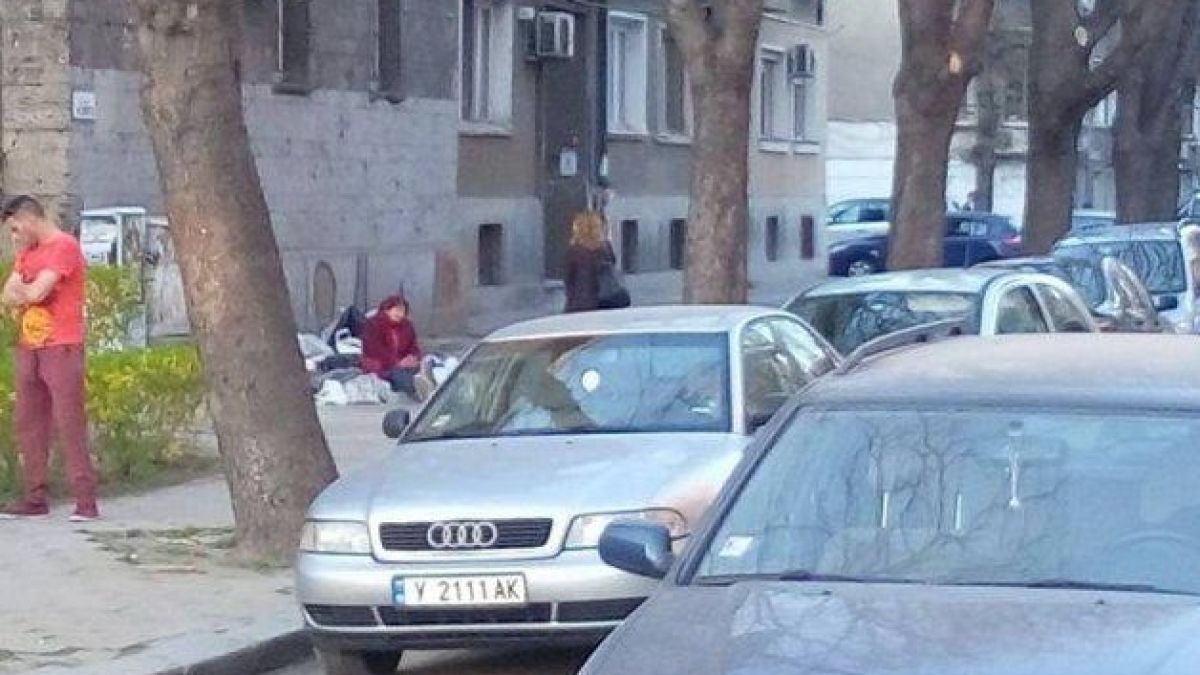 Бездомна старица умили пловдивчани, в мрежата се чудят как да й помогнат  
