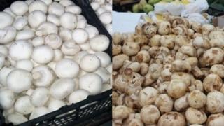 Мислим, че са най-безопасните гъби, но дали е така? Ето какво да гледаме, за да не ни метнат в магазина