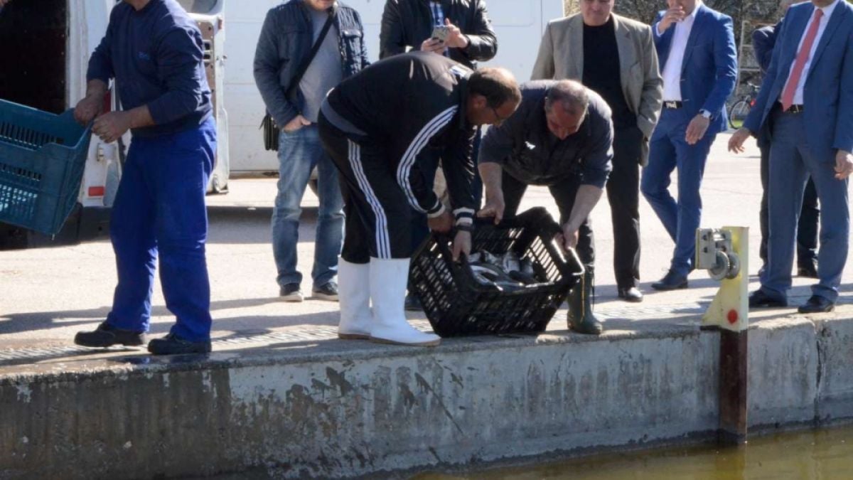 Скоро водата в Гребната в Пловдив ще е супер чиста