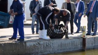 Скоро водата в Гребната в Пловдив ще е супер чиста