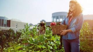 Във Великобритания започнаха да пищят: Няма да можем да функционираме без българските работници 