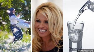 Десет първоаприлски сюжета, които приличат на шега, но са истина