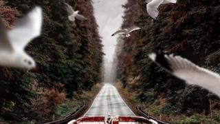 Турски фотограф с уникални творения - микс между реалност и фантазия (СНИМКИ)