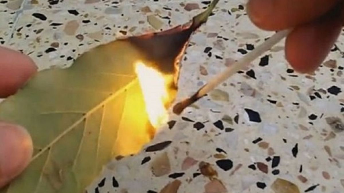 Просто паля едно листо в стаята и след няколко минути блажено се усмихвам на резултата!