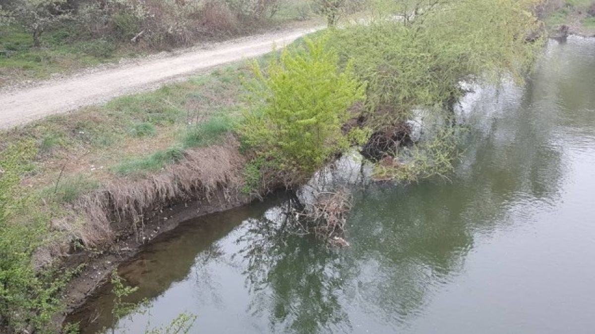 Частично бедствено положение в Пловдивско