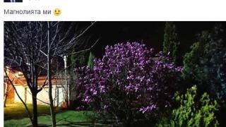 Първо в БЛИЦ! Борисов подлуди всички със среднощна СНИМКА!