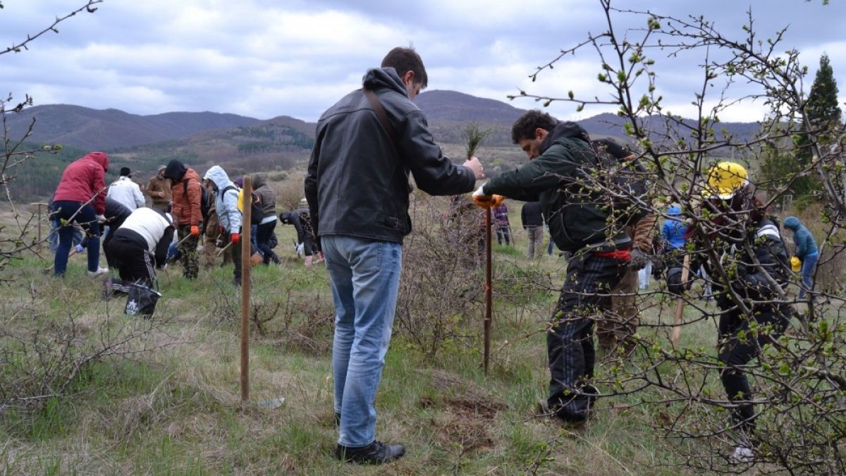 400 фиданки бяха засадени от служители на Райфайзенбанк България 