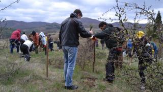 400 фиданки бяха засадени от служители на Райфайзенбанк България 