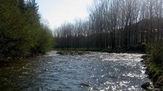 Труп на мъж изплува във водите на река Искър  