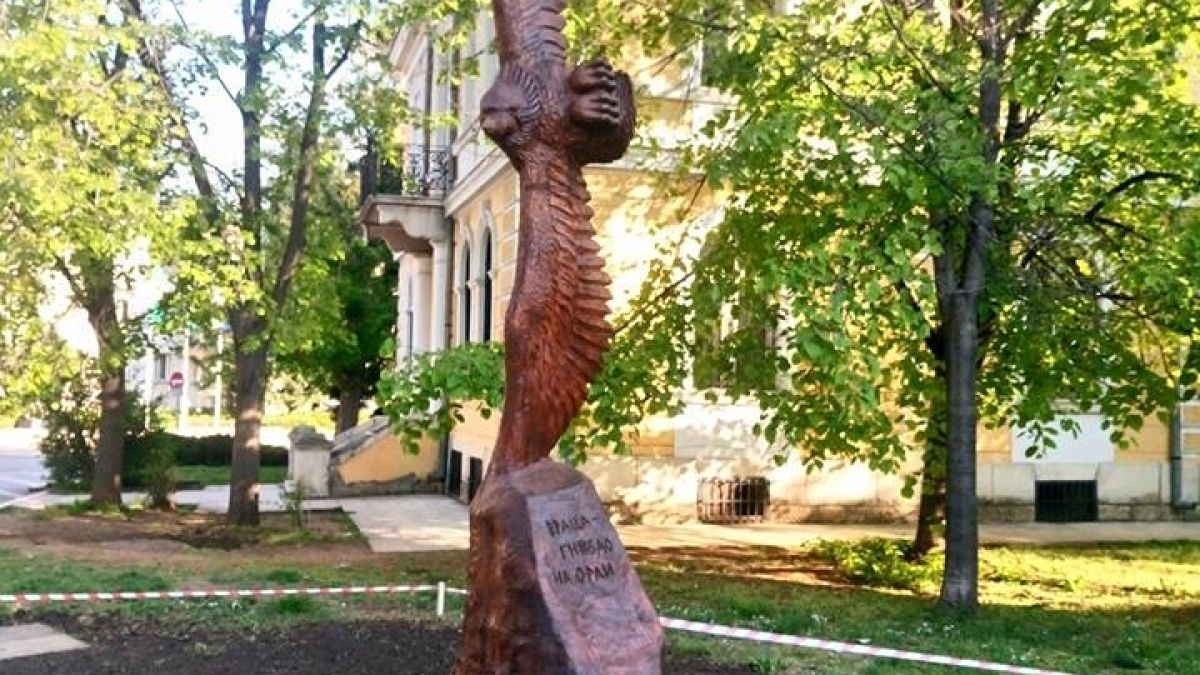 Величествен орел краси центъра на Враца (СНИМКИ)