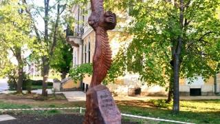 Величествен орел краси центъра на Враца (СНИМКИ)