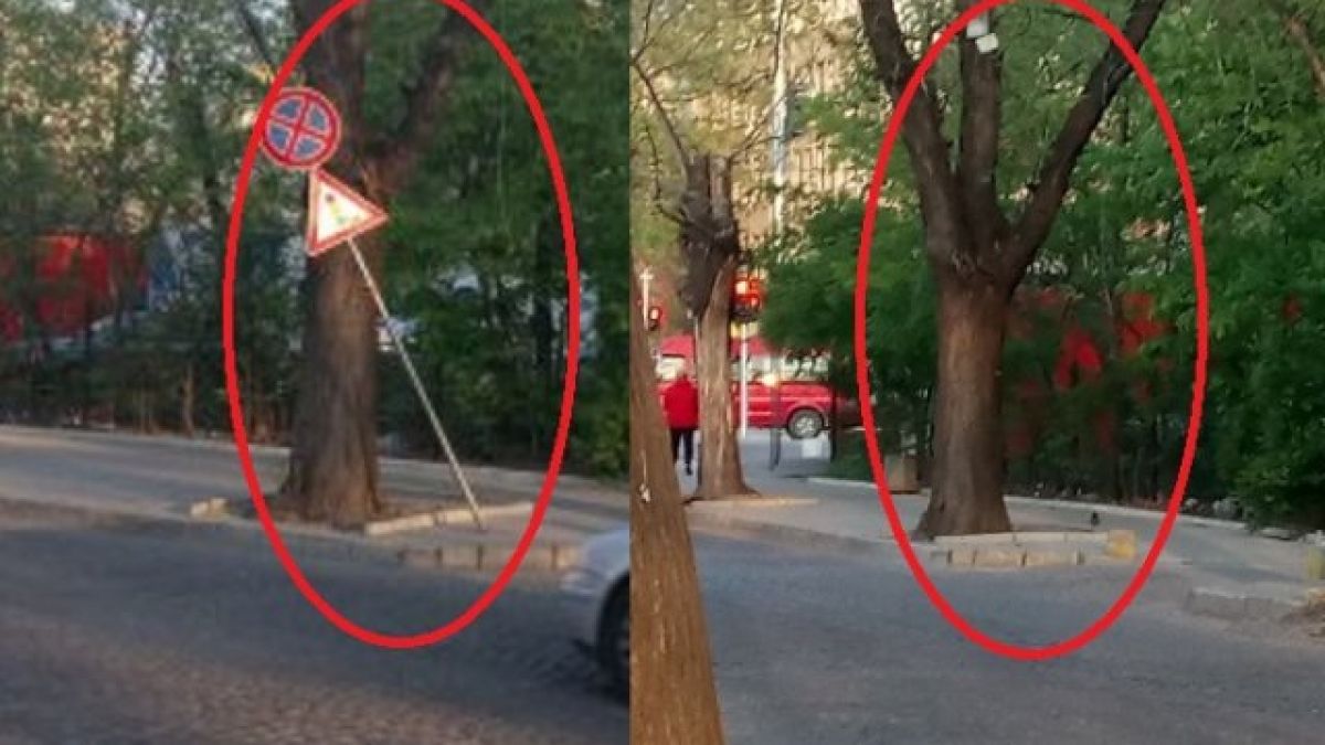 Мистерия на ул."Богомил" в Пловдив