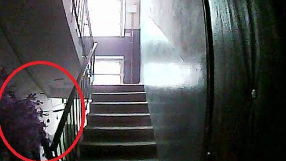 Те имаха камера за наблюдение във входа, но това, което е уловено, смрази кръвта на обитателите (СНИМКИ)