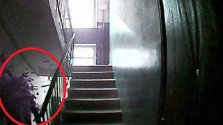 Те имаха камера за наблюдение във входа, но това, което е уловено, смрази кръвта на обитателите (СНИМКИ)