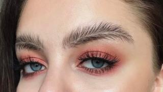 Нова мода във веждите шокира критици (СНИМКИ)