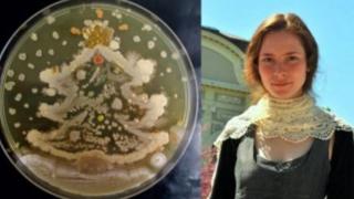 Българка създава първата рисунка с микроорганизми в света (СНИМКИ)
