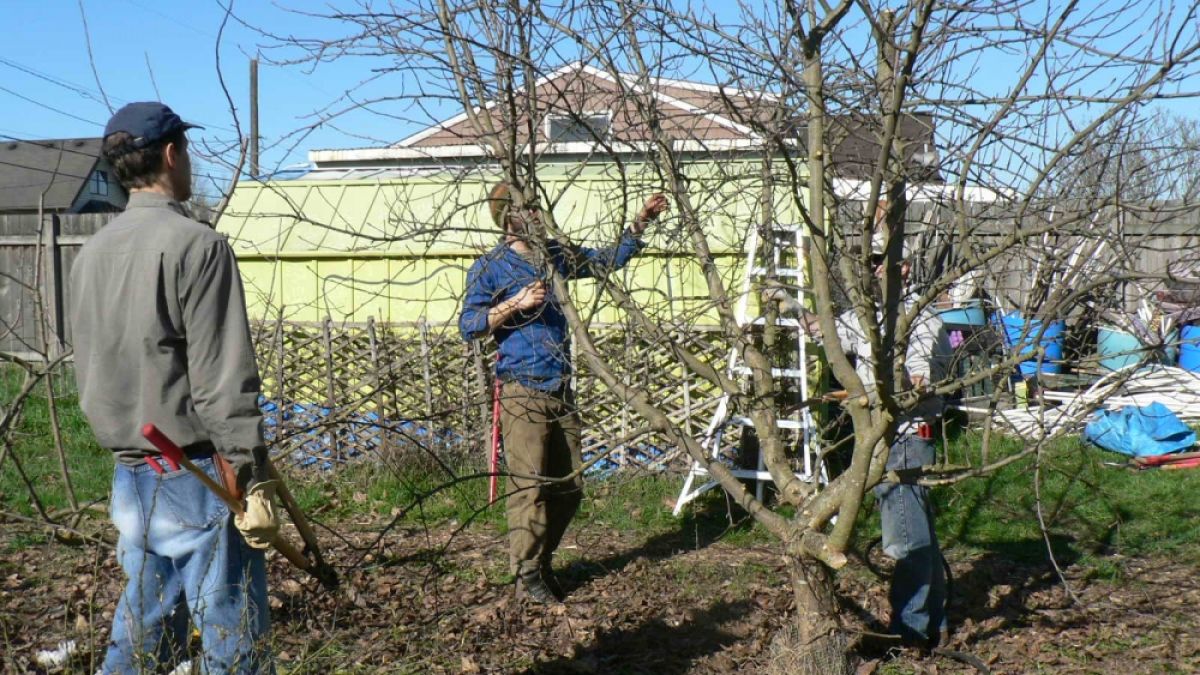 Експерт предупреди за страховити загуби за земеделците!  