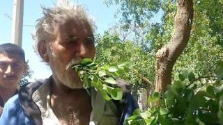 Пакистанец пасе листа и клони от 25 години (ВИДЕО)