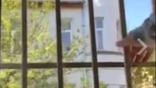Само в БЛИЦ! Ученици пуснаха ВИДЕО от стаята си по математика, което шокира мрежата