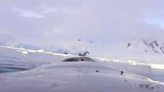 Уникално ВИДЕО: Ето какво е да си кит!