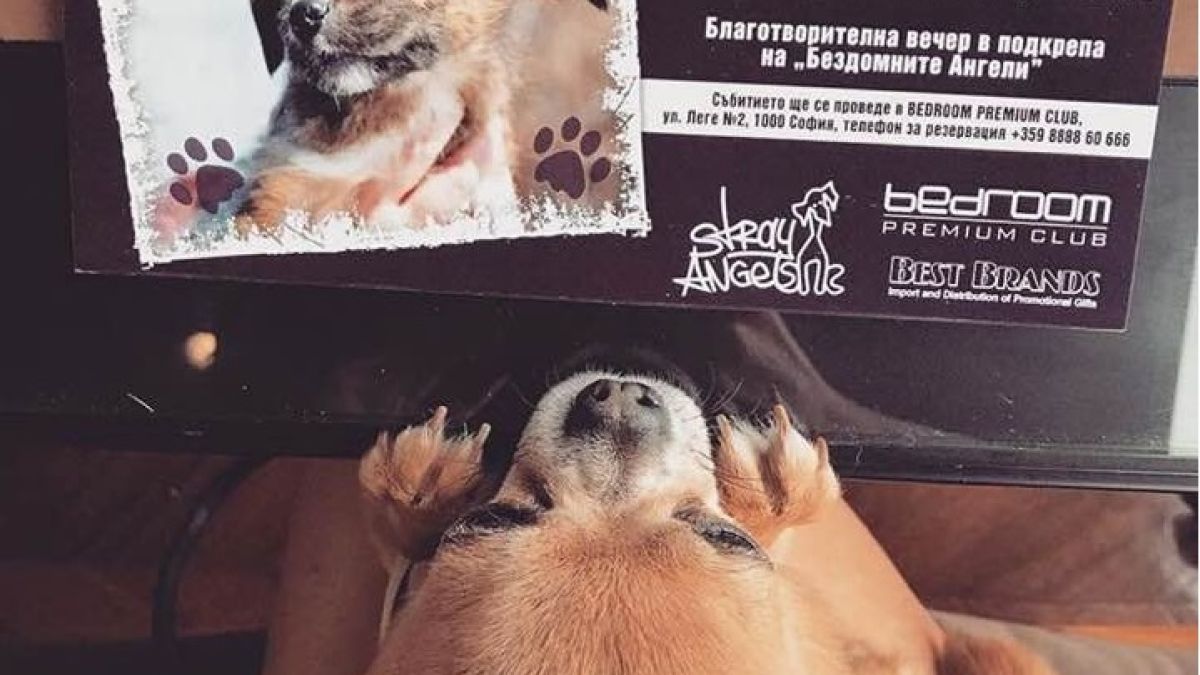 Студенокръвната Николета разтопи сърцата на всички с този надпис на потничето си! (ФОТО)