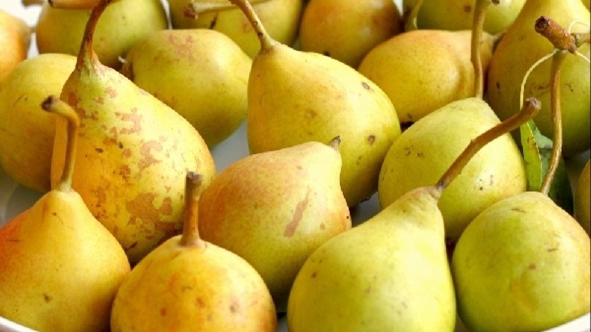 Обичате ли круши? Ето защо трябва да ядете повече от тях!
