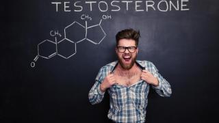 Какво прави тестостеронът с мозъците на мъжете?