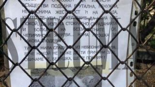 Трогателен некролог в памет на болно същество, убито по брутален начин, разплака Благоевград (СНИМКИ)