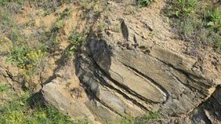 Чудо в Млечино: Камък осъмна с "Аллах" (СНИМКА) 