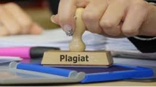 Абсурдите в проектозакона за плагиатството