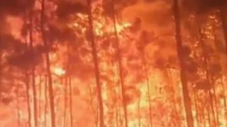 Ново 20: Краят на света идва на 31 май! (ВИДЕО)