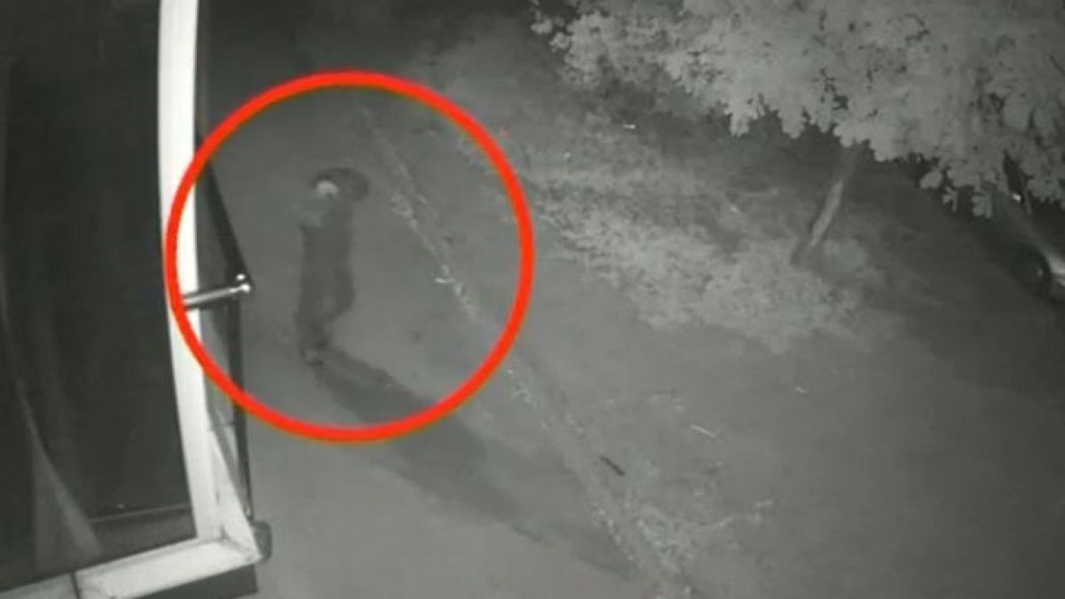 Мегз проговори след атентата срещу магазина й, разкри изненадваща версия на полицията за палежа