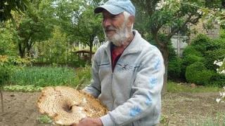 Земеделецът бай Георги откри нещо изумително в двора на началното школо в Козлодуй (СНИМКА)