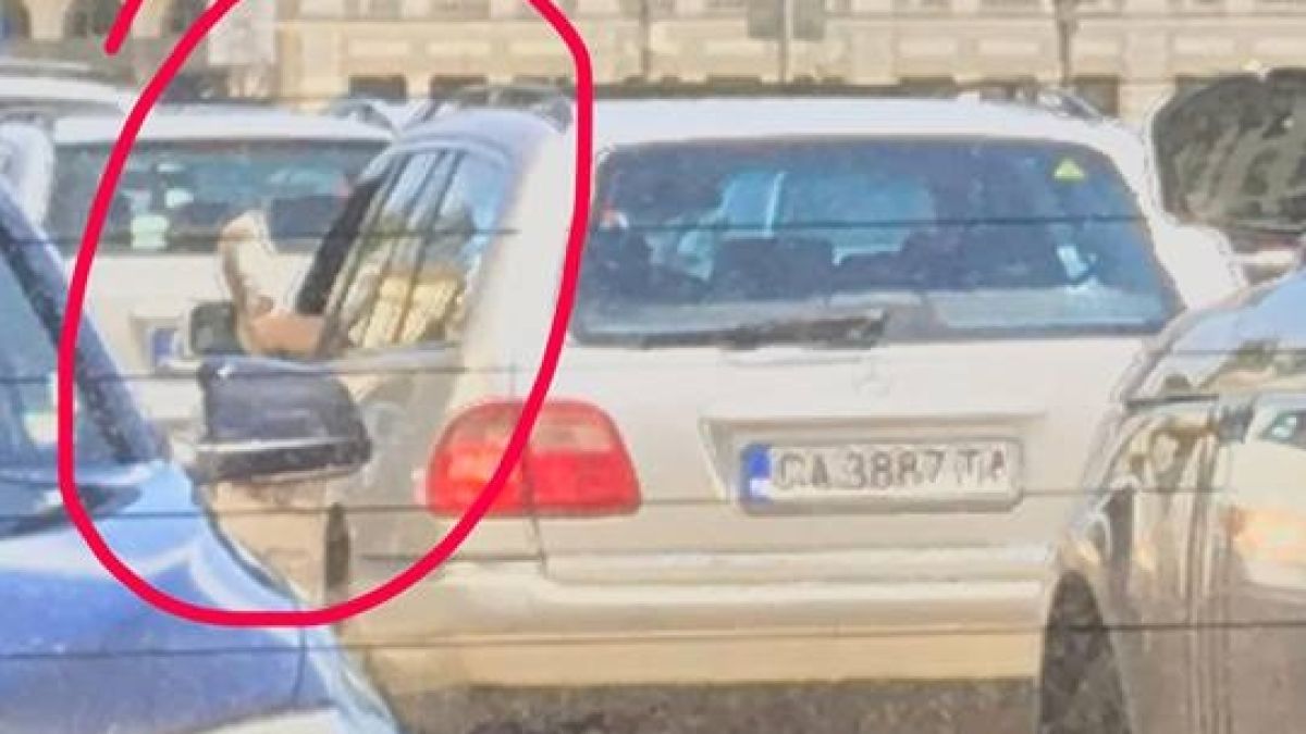 Невиждано! Този шофьор събра очите на столичани (СНИМКА)