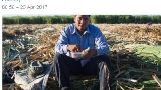 Мистериозна болест на бъбреците удря работници по целия свят 
