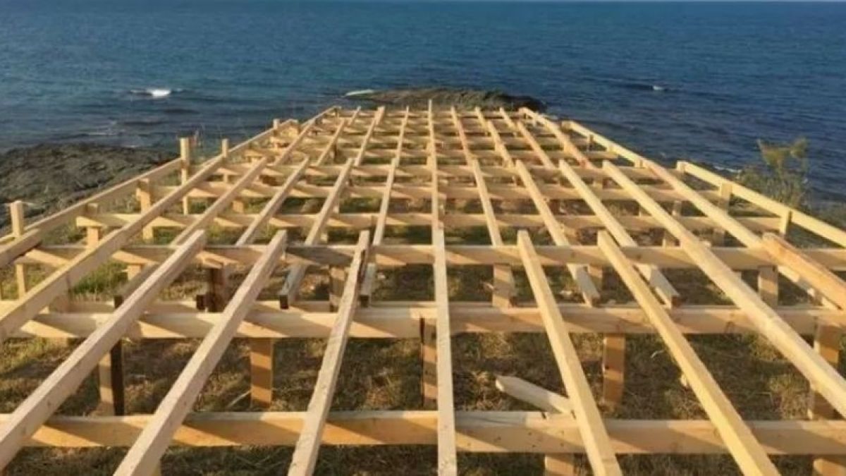 Лозенец обяви война на красивата столична бизнесдама, спира строежа на заведението й с жива верига 