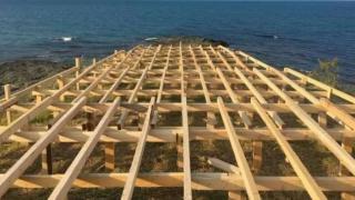 Лозенец обяви война на красивата столична бизнесдама, спира строежа на заведението й с жива верига 