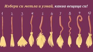 Дами, изберете коя метла ще яхнете и узнайте каква вещица сте (СНИМКА)