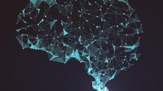 Интересно: Вие сте два мозъка, събрани в една личност! (ВИДЕО)