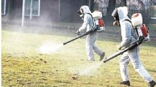 В Бургаско настръхнаха! Първа жертва на кръвосмучещите убийци!