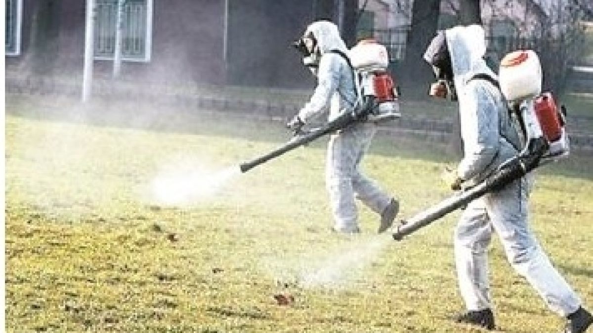 Страшна напаст вилнее в София