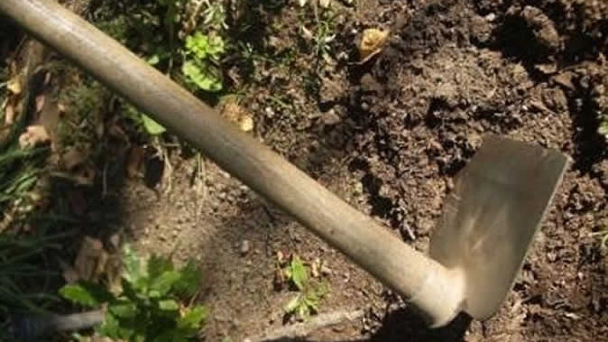 Мъж от Старозагорско грабна мотика и стана страшно 