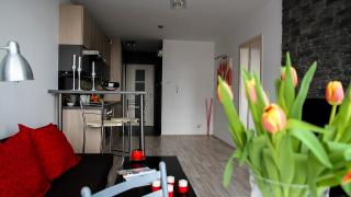 Вредно: Никога не правете тези 4 грешки, ако гледате цветя вкъщи