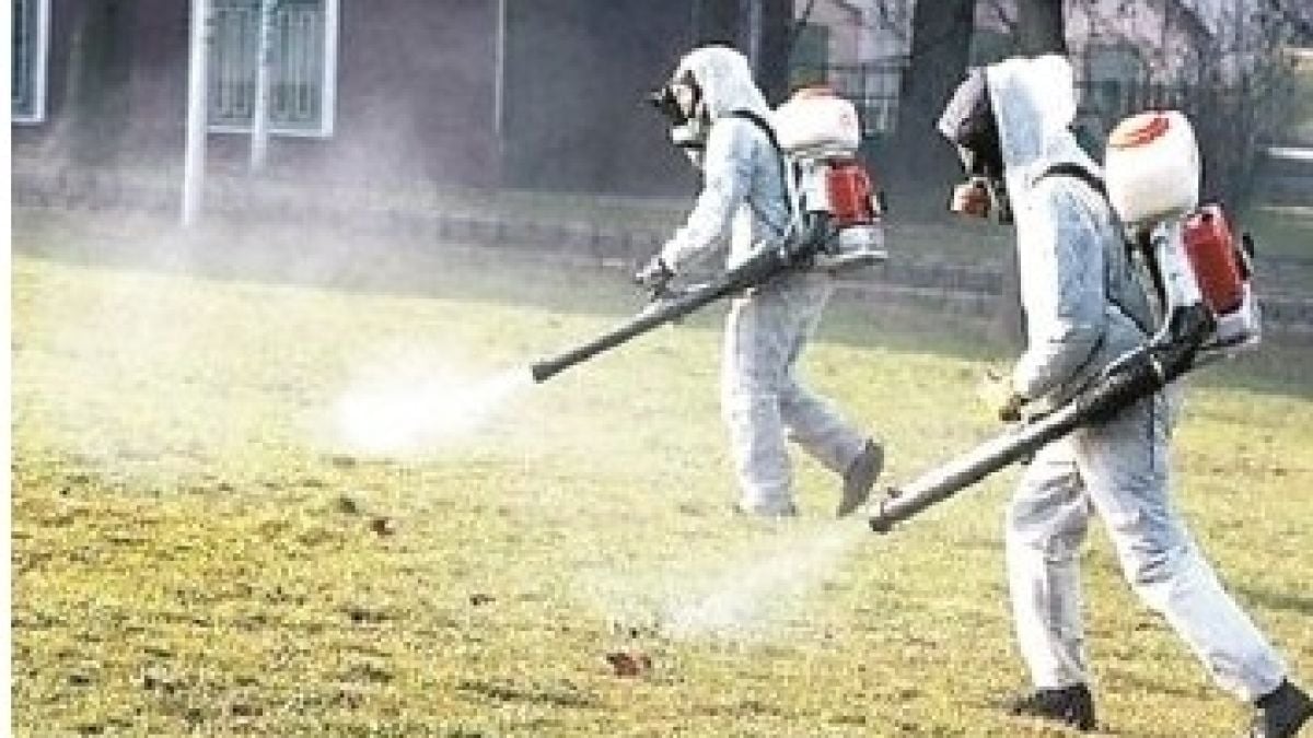 Адска напаст плъзна в наш град, жертвите са много! 