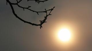 Жегата ни захапва! До 32 градуса днес