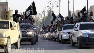 Големи сили на екстремисти в Сирия се обединяват в „Национална армия”  